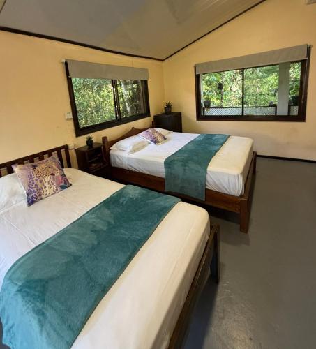 two beds in a room with two windows at Estudio Jaguar in Tortuguero