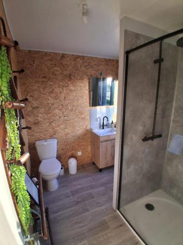 a bathroom with a shower and a toilet and a sink at Refuge climatisé tout proche du Pal in Le Pin