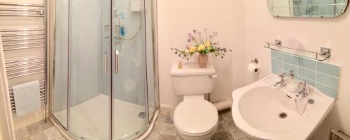 a bathroom with a shower and a toilet and a sink at St Louan's in Alyth