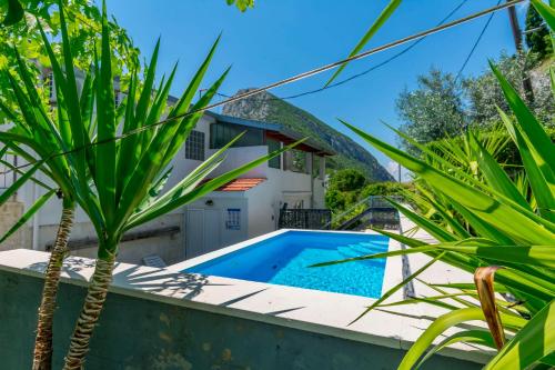 House Hidden Green Oasis
