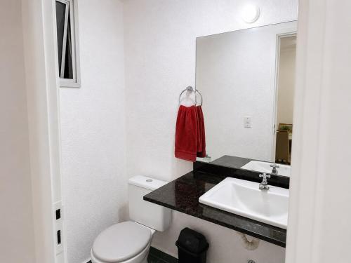 a bathroom with a white toilet and a sink at Ap 4 Hosp Autódromo Interlagos,Expo Transamérica mais Taxi a combinar in São Paulo
