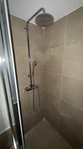 a shower with a shower head in a bathroom at Amerissas studios 4 in Skiros