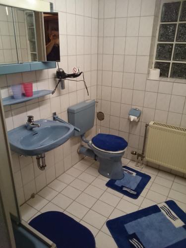 a bathroom with a blue toilet and a sink at Ferienwohnung An der Loreley in Bornich