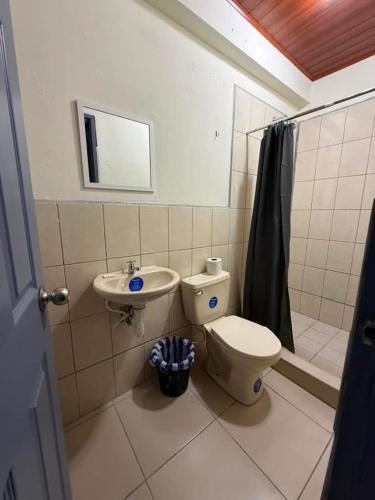 a bathroom with a toilet and a sink at Hostal Calle Real in León