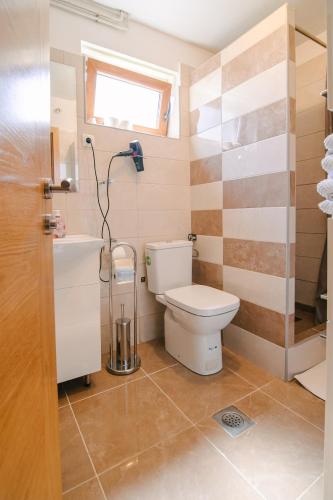 a bathroom with a toilet and a shower at Apartment Smoljanac 14979b in Smoljanac