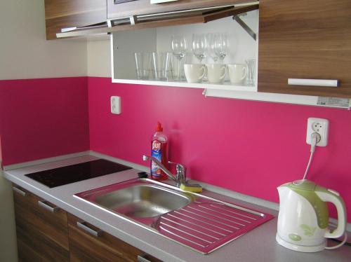 uma cozinha com um lavatório e uma parede rosa em Apartment Třeboň em Třeboň