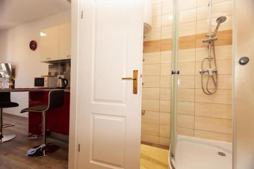 Apartments with WiFi Rijeka - 25933