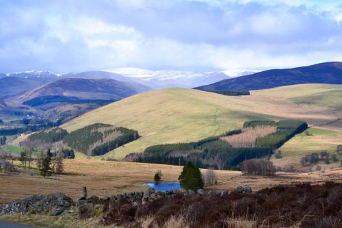 a view of a mountain with a lake in a field at St Louan's in Alyth