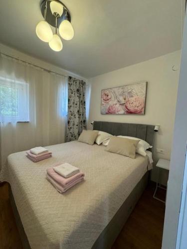 Apartments with parking space Zadar - 25719