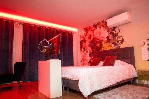 a bedroom with a bed and a red ceiling at Suite Touraco, clim, balneo, terrasse - Parc des Oiseaux in Villars-les-Dombes