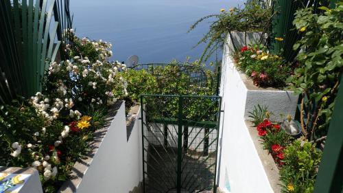 a stairway with flowers and plants on it at Le Cicale - Apartments in Conca dei Marini