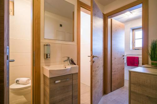 a bathroom with a sink and a toilet at Chalet Ursteinhütte in Kelchsau