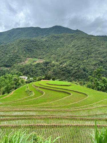 a large green field with mountains in the background at Bản Lướt Homestay -Ngọc Chiến Hotspring in Sơn La
