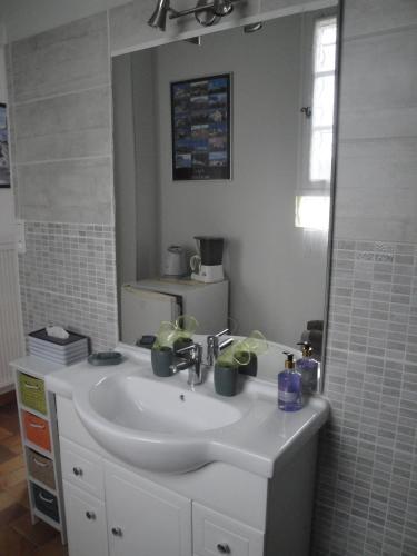 une salle de bain avec un lavabo et un miroir dans l'établissement Chez Nanie, à Mane