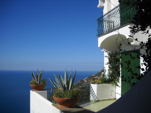 two potted plants on the side of a building at Le Cicale - Apartments in Conca dei Marini