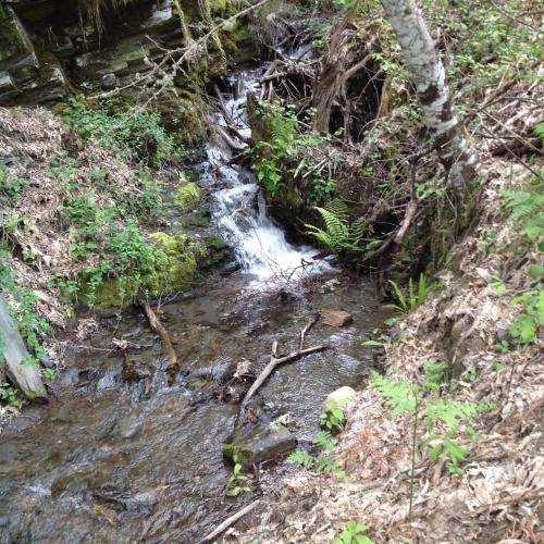 a stream of water in the middle of a forest at El Mirador de los Trobos in Villar de Otero