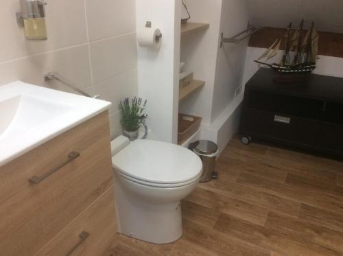 a bathroom with a white toilet and a sink at Chambres et Table d'hôtes La Belle Lensoise in Lens