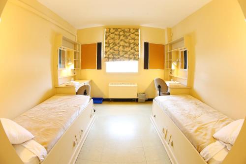 Habitación hospitalaria con 2 camas y ventana en Dalhousie University Agricultural Campus en Truro