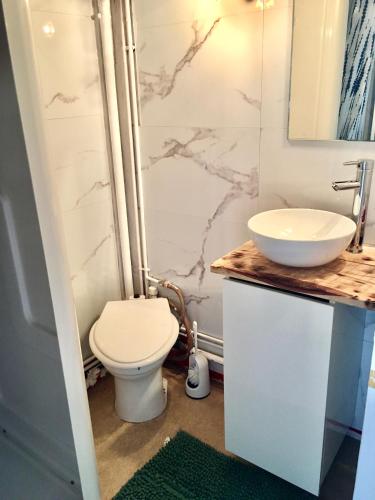 a bathroom with a toilet and a sink at T2 Hyper centre le mont dore face thermes et cure in Le Mont-Dore