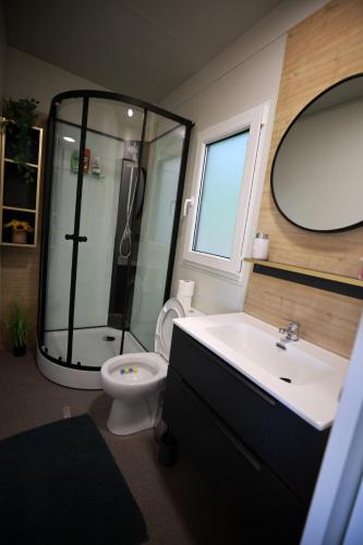 a bathroom with a shower and a toilet and a sink at Ivan in Kalnik