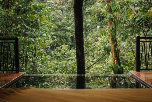 a view of a forest from the inside of a room at Nuakú Jungle in Aguas Zarcas
