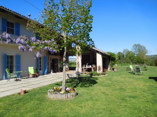 a tree in the yard of a house at Agriturismo La Tilia in Lequio Tanaro