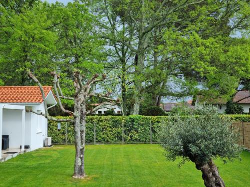 a garden with a tree and a white house at Bernard in Soustons