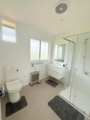 a bathroom with a toilet and a sink and a shower at Prom Coast Residence in Fish Creek