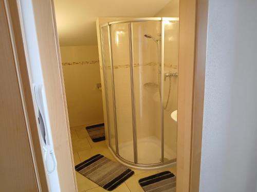 a shower with a glass door in a bathroom at Stapfgut in Rauris