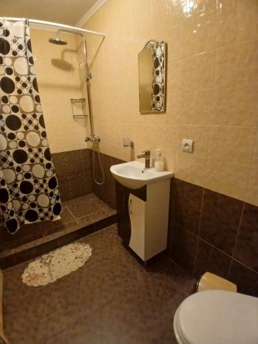 a bathroom with a sink and a shower and a toilet at Садиба Сонячний дім in Pilipets