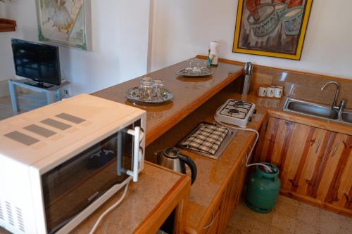 a kitchen with a counter with a microwave and a sink at Somptua Garden Boutique Hôtel in Ivato
