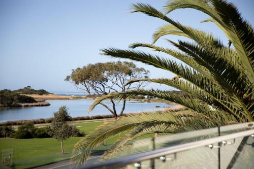 a palm tree next to a body of water at Great Ocean Road Resort in Anglesea