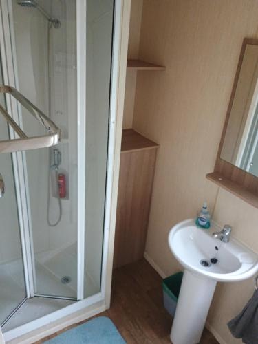 a bathroom with a shower and a sink at 16 Vale Park in Fishguard
