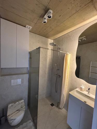 a bathroom with a shower and a toilet and a sink at Infinutum Sea Studio in Palanga