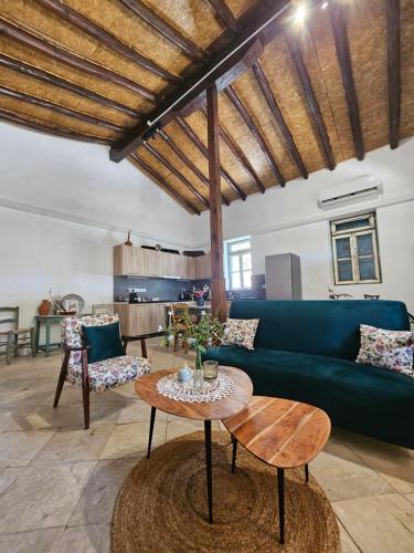 Traditional house near Troodos for families and nature lovers!