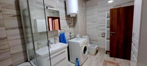 a bathroom with a shower and a toilet and a sink at Apartmani Katarina in Donje Čičevo