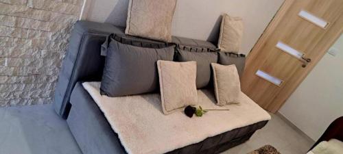 a blue couch with pillows on it next to a door at Apartmani Katarina in Donje Čičevo