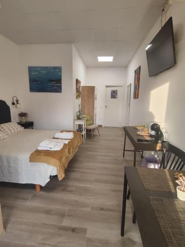 a bedroom with a bed and a table and a tv at Magariños Apartamentos in Oia