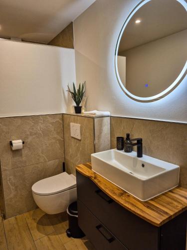 a bathroom with a sink and a toilet and a mirror at Brauhaus am See in Oberthulba