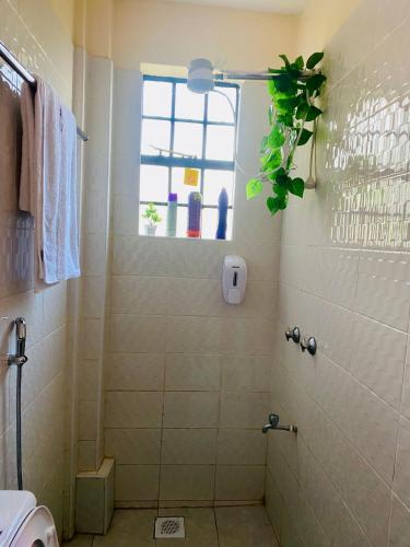 a bathroom with a shower with a window at The Crown Stay in Machakos