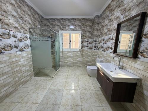 a bathroom with a shower and a sink and a toilet at 瑞龙居民宿 in New cairo