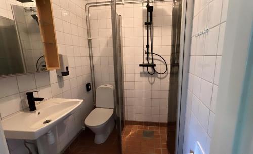 a bathroom with a toilet and a sink at Glaskogen Holiday Homes in Glava