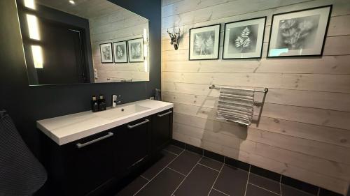 a bathroom with a sink and a mirror at Bergnes Lodge in Senja