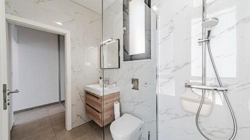 a bathroom with a shower and a toilet and a sink at Villa Evia by Villas Guide in Smokvica