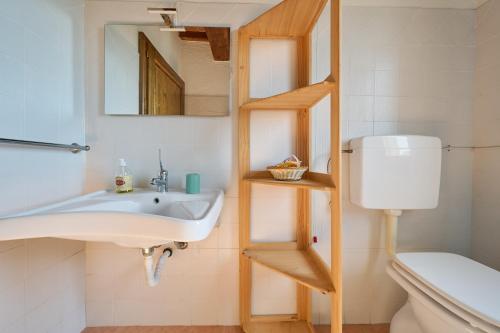 a bathroom with a sink and a mirror and a toilet at Agriturismo Campo Ruffaldo in Massa Marittima