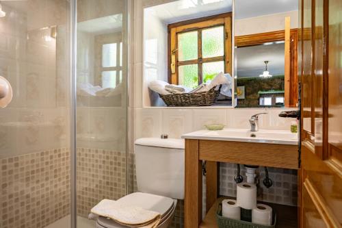 a bathroom with a toilet and a sink and a shower at Casa Engracita in Valle de Lago