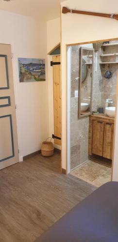 a bathroom with a sink and a mirror at vestagaia Chambres d'hôtes in Saint-Gilles