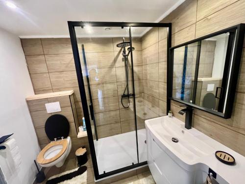 a bathroom with a shower and a toilet and a sink at La maisonnette de chez Pascalou in Lège-Cap-Ferret