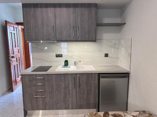 a kitchen with wooden cabinets and a sink at THE FLOWER APARTMENTS in Toroni