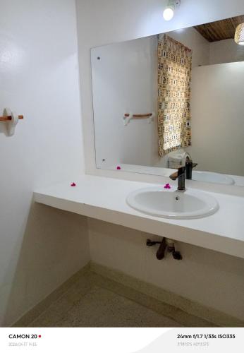 a bathroom with a white sink and a mirror at Tranquil villa in Watamu